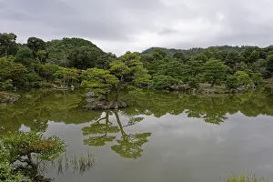 Reflection, tree, Kyoko-chi pond