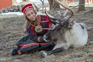 Reindeer (Rangifer tarandus), Sami