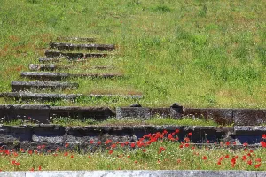 Remains of the audience tiers, steps