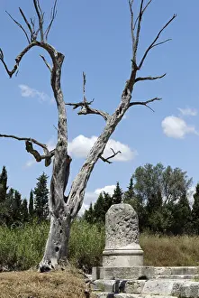 Remains of the temple of Zeus of the antique town Locroi