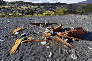 Remains of the trawler Epine GY7