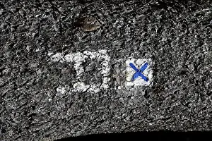 Rennsteig marking on a tree trunk