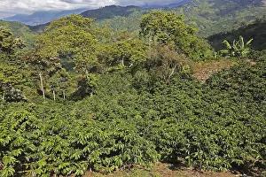 Republic of Colombia, Colombia