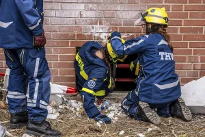 Category Wildlife DE Prints: Rescue and recovery of people after a drone attack on a residential building in a civil defence scenario