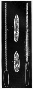 Ressel capsules with thread turned in