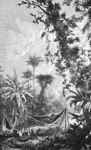 Rest in the hammock of European travellers in the tropical rainforest, Inner Tropics, Rainforest, Travel, Brazil, historical illustration 18888, South America