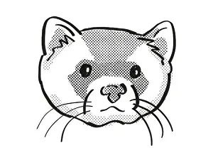 Retro cartoon mono line style drawing of head of a black-footed ferret