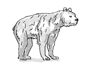 Retro cartoon style drawing of a Short-Faced Bear