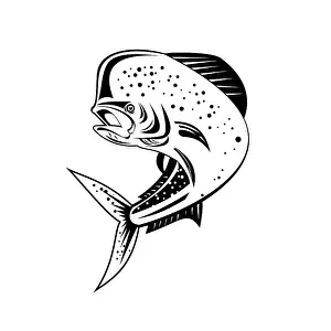 Retro style illustration of a mahi-mahi