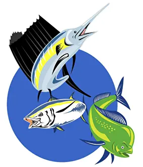 Retro style illustration of a Sailfish