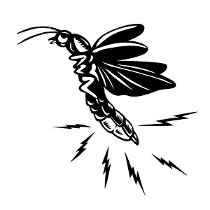 Retro woodcut style illustration of a soft bodied beetle called a firefly