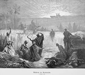 Return of the Ark of the Covenant