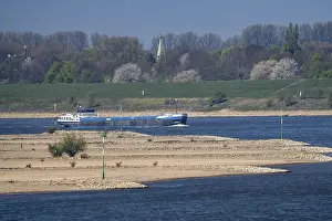 The Rhine with extremely low water