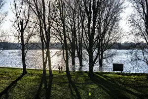 Rhine meadows near Duisburg-Neuenkamp
