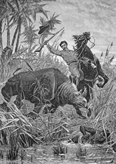 Rhino Hunt in Africa, Historical