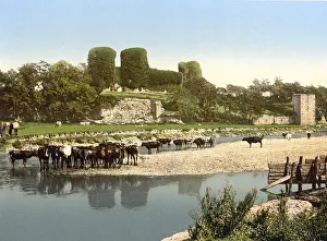 Rhuddlan Castle, Castell Rhuddlan