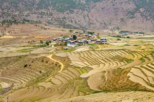 Rice field and Bhutanese Village in Punakha