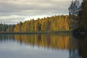 Rich range of colors of autumn forest on the shore of a quiet lake in light fog