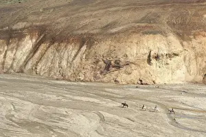 Rider in the colour mountains Landmannalaugar in iceland
