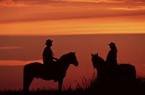 Rider on Konik horses at sunset