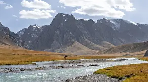 Rider in front of mountain landscape with yellow meadows