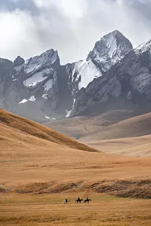 Rider in front of mountain landscape with yellow meadows