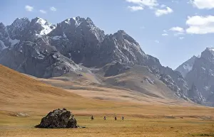 Rider in mountain landscape with yellow meadows