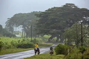 Rider on the rainy country road in Vinales