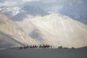 Riders on Bactrian camels in the Nubra Sand Dunes