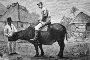 Riding Buffaloes in the Philippines
