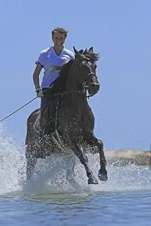 Riding holiday, Djerba, Tunisia