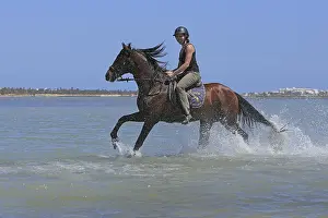 Riding holiday, Djerba, Tunisia