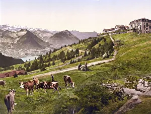 Rigi Scheidegg, the hotel, Rigi