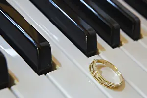 The riglet on the pianio