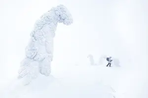 Riisitunturi National Park, woman visiting the park wearing snowshoes