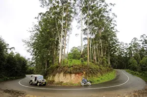 Ring road and trees at, Munnar, Kerala, India