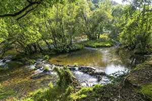Rio Avia river, Pazos de Arenteiro