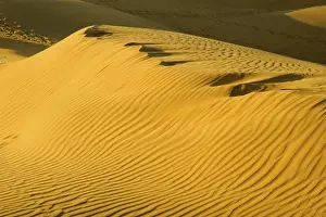 Category Historic EN Prints: Ripple design on sand dunes due to wind with highlight and shadow play at Sam
