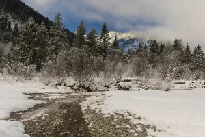 Rissbach creek in the Eng valley
