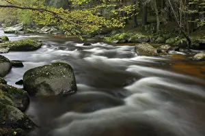 River Aist, Upper Austria, Austria, Europe