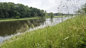 River course with grassy bank and forest in the background under a cloudy atmosphere