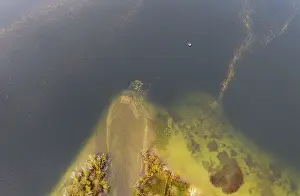 River delta of the Wangauer Ache into the Mondsee with autumnally discoloured mixed forest