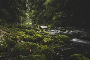 A river flows through a forest with moss-covered rocks and green trees