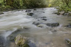 A river flows through a lively forest with smooth rocks that are partially submerged in the water