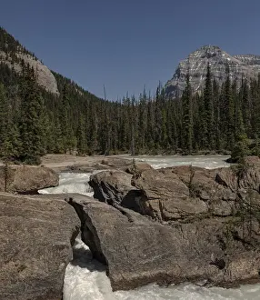 River flows between rocks surrounded by pine forest