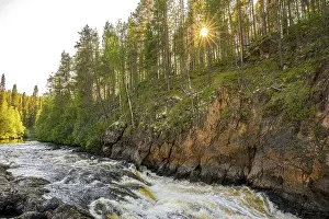 A river flows through a thick forest as the sun shines over the treetops and illuminates the rocks