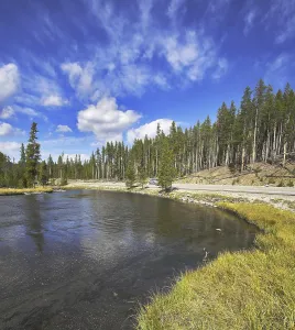The river Gibbons it is smoothly bent in Yellowstone national park