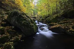 The river Ilse flows through an autumnal forest