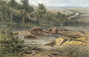 River landscape with animals in central Africa