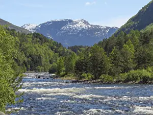 River in mountainous landscape with snow-capped peaks and green forests under blue sky